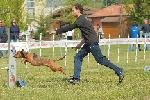 04 - Cavallin